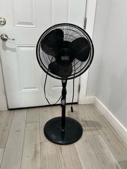 fan