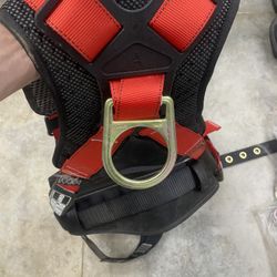 Safety Harness 