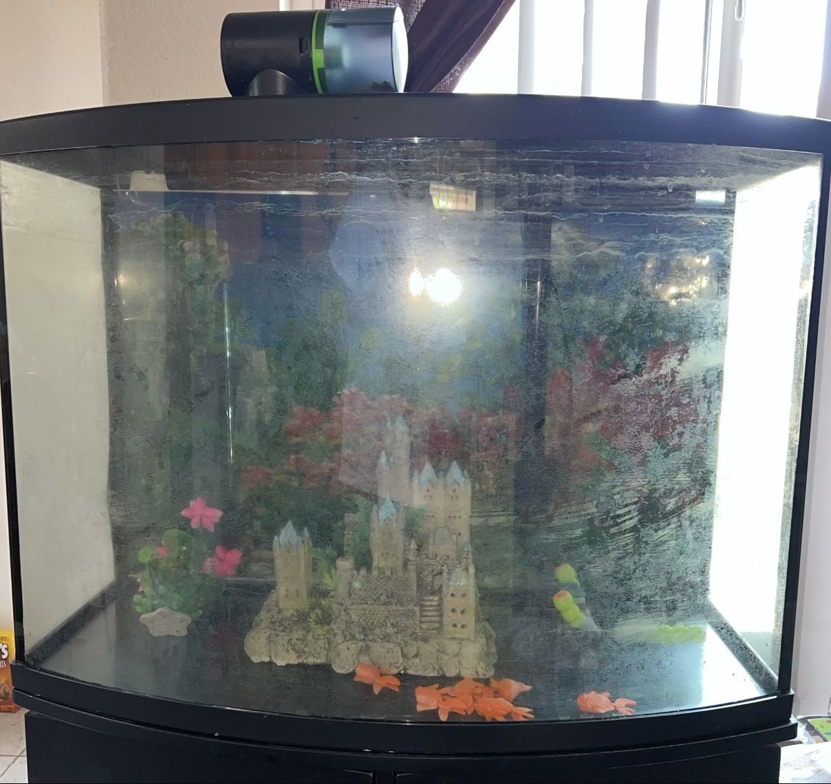 Fish Tank