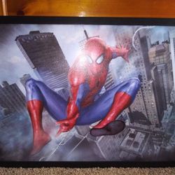 Framed Spiderman picture .