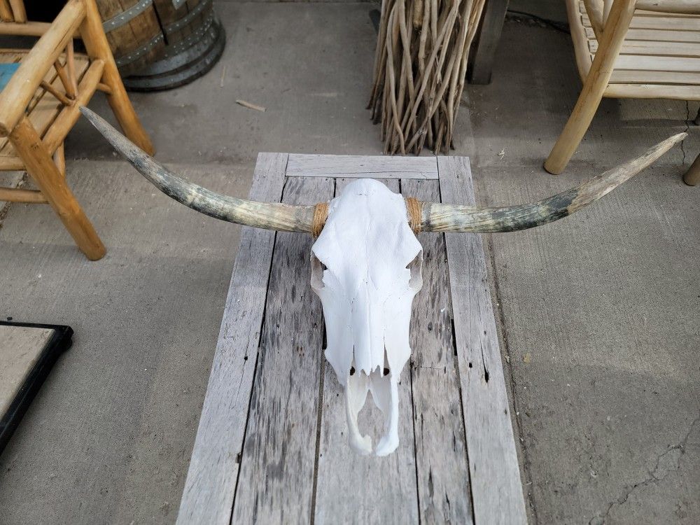 Longhorn Cow Skull Rustic Western Wall Decor, Farmhouse & Ranch Style Art