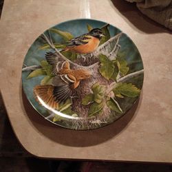 The Baltimore Oriok Collection