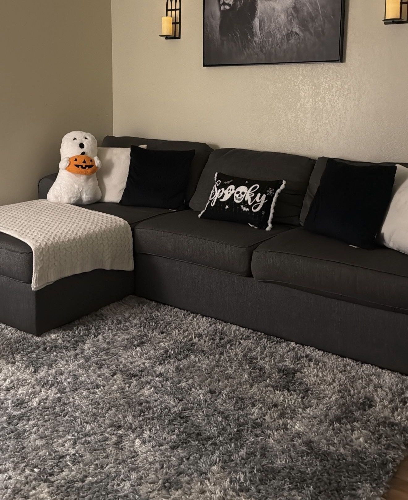 Grey Sectional Couch 