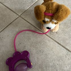 Corgi Pet Puppy 