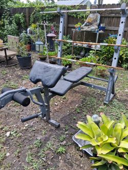 Workout bench for lifting weights