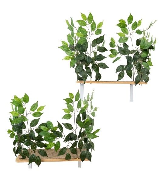 Brand New Cat Canopy Wall Shelves