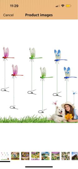 Plastic Dragonflies for garden