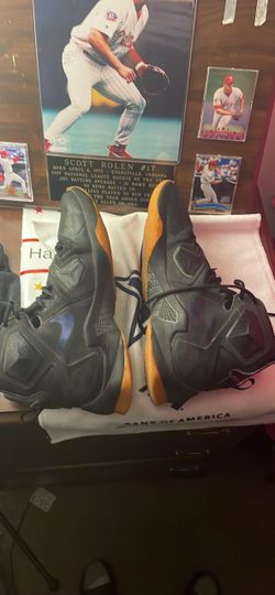 LeBron 13 shoes size 12