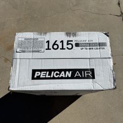 Pelican Air travel Case 