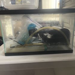 Fish Tank W All Supplies