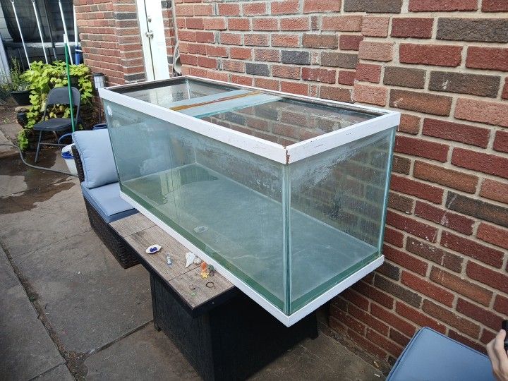 Aquarium 100 Obo