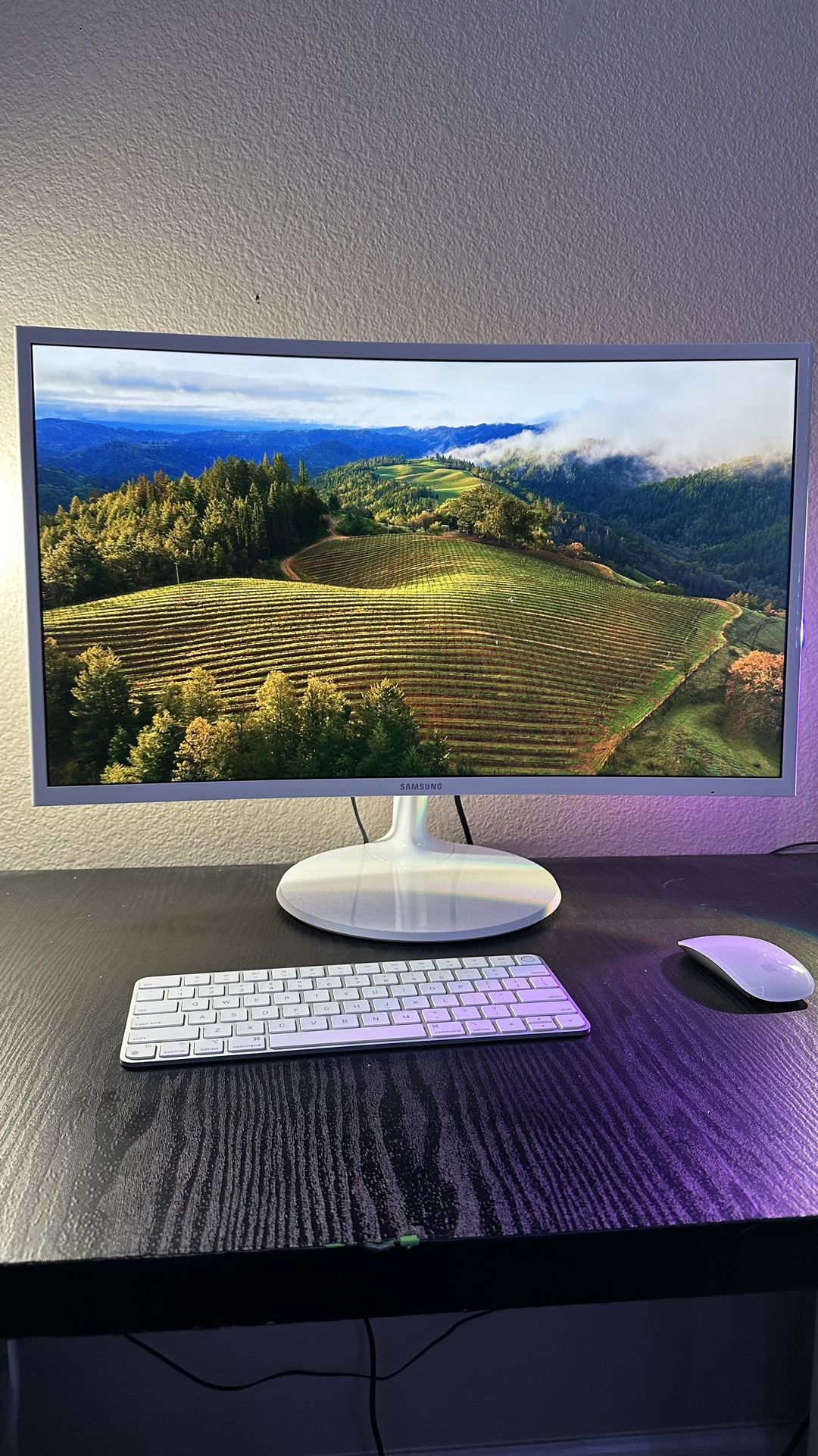 Mac Mini Desktop- includes Samsung 27” Curved monitor, Mac Mini (M2), Keyboard, Magic Mouse 🖥️⌨️
