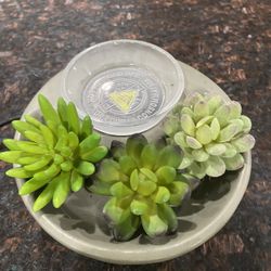 Decorative Succulent Wax Or Oil Burner