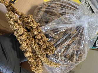 Economy Spray Millet
