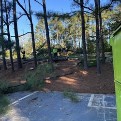 EMERGENCY TREE WORK 