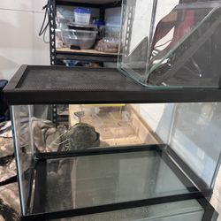Fish/reptile Tanks