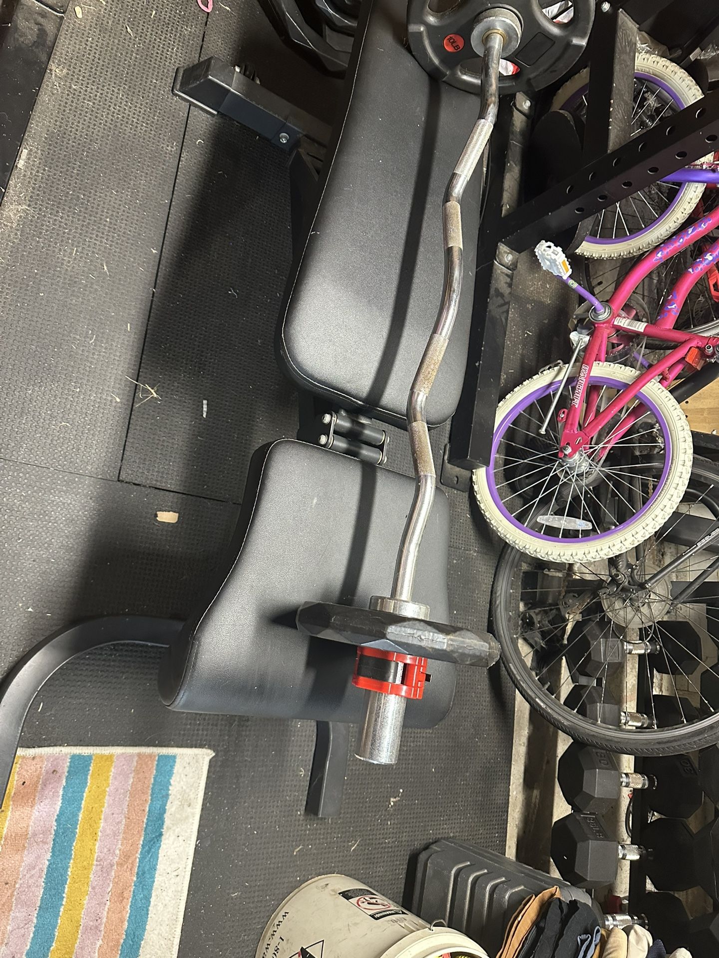 Olympic Ez Curl Bar