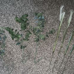 3 piece eucalyptus and 4 piece pampas’s grass 