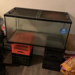 Fish Tank For Sale 40 gallons