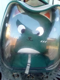 Backpack carry along cat 😺 pet to carry a long