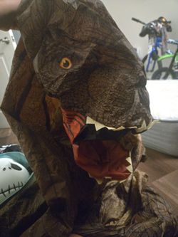 Dinosaur Blow up costume