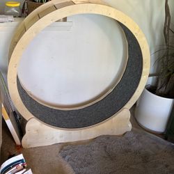 Cat Wheel