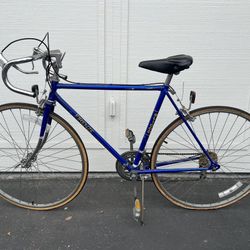 🚴 Firenze GL1000 Vintage Road Bike