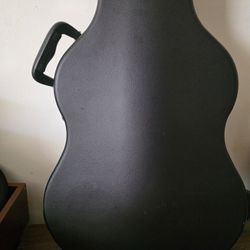 Roadrunner Guitar Case