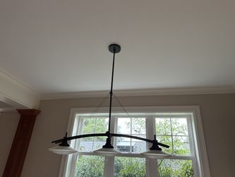 Chandelier/ Pendant Light