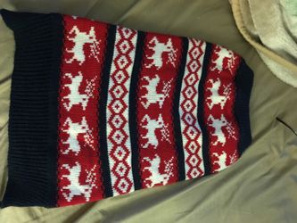 Christmas sweater for medium dog .