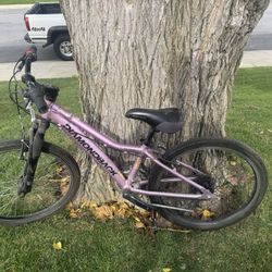 24 Inch Girls DiamondbackMountain Bike