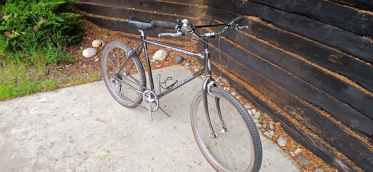 Schwinn Cruiser 5spd 1980's 26" cruiser