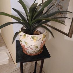 Beautiful Bowl Silk Plant, Moving Sale