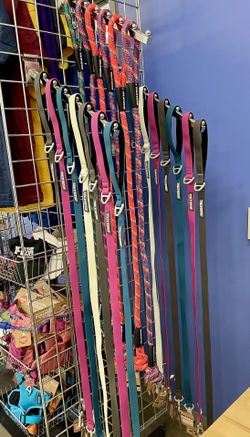 Dog Leashes And Harness