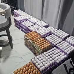 Pasture Raised Eggs 