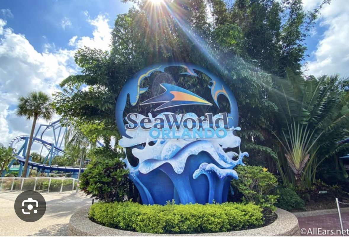 Sea World 1 Day Ticket 