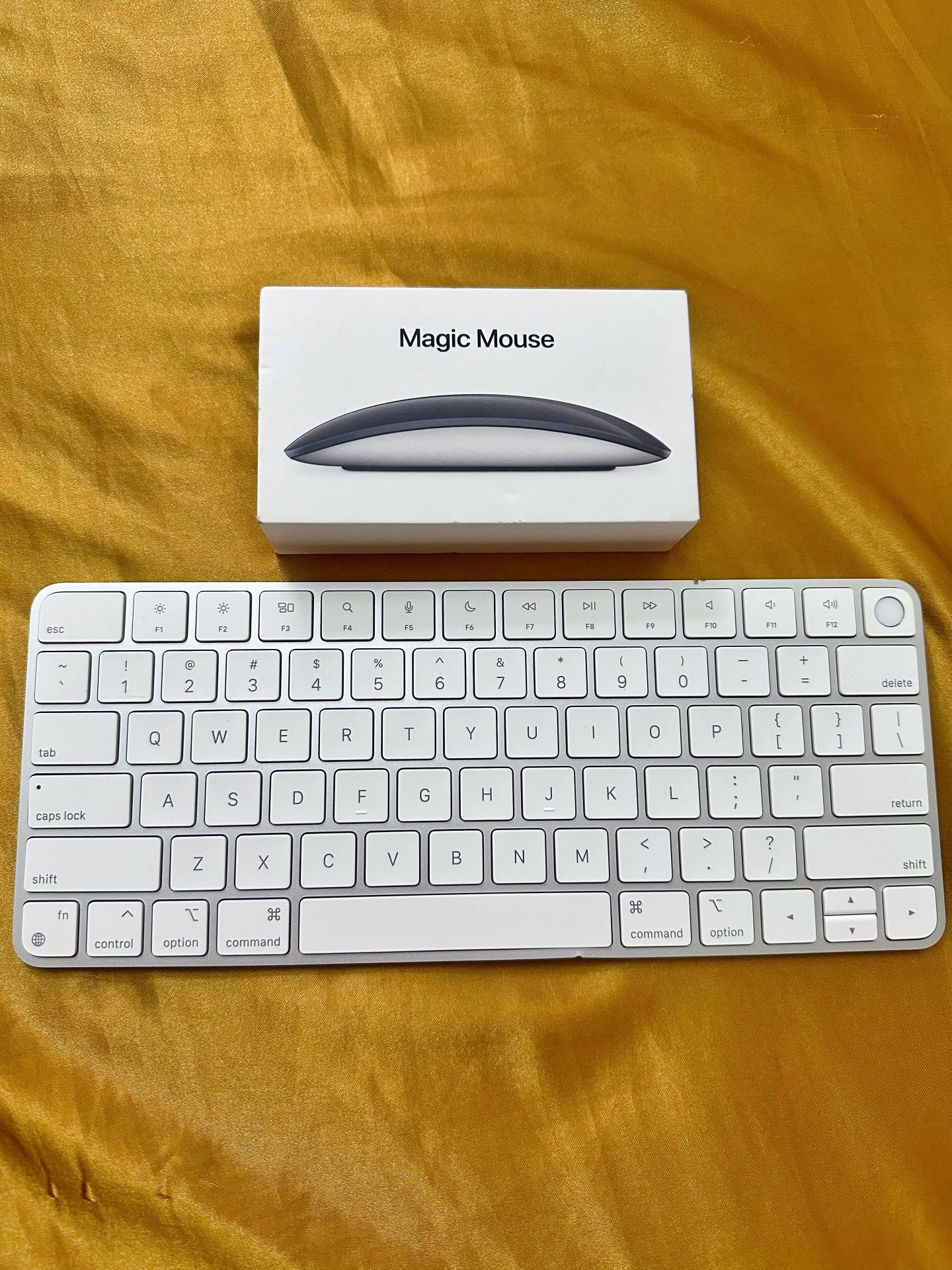Apple Magic Mouse & Magic Keyboard 