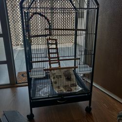  Bird Cage