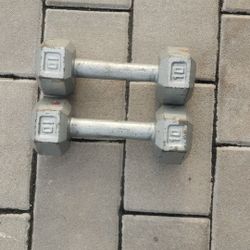 10LB Dumbbell Set