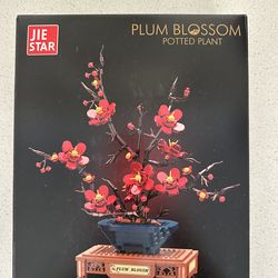 Plum Blossom Building Blocks