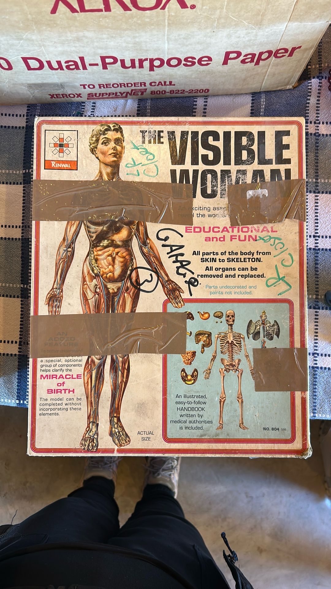 The Invisible  Woman Educational Game