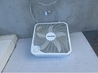 Fan