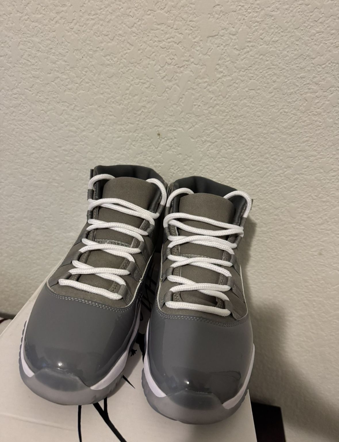 Jordan 11 Cool Grey 2021