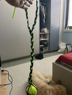 Dog Toy