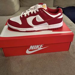 Nike US dunks 