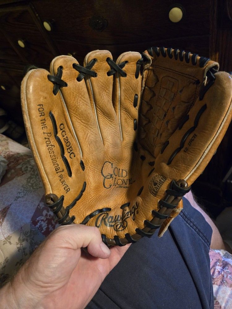 Rawlings GG20BC Gold Glove Series