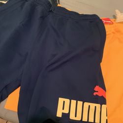 Shores Pumas Y Otros 