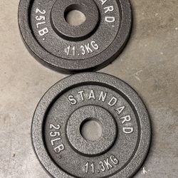 Pair Of 25 Pound Olympic Weights