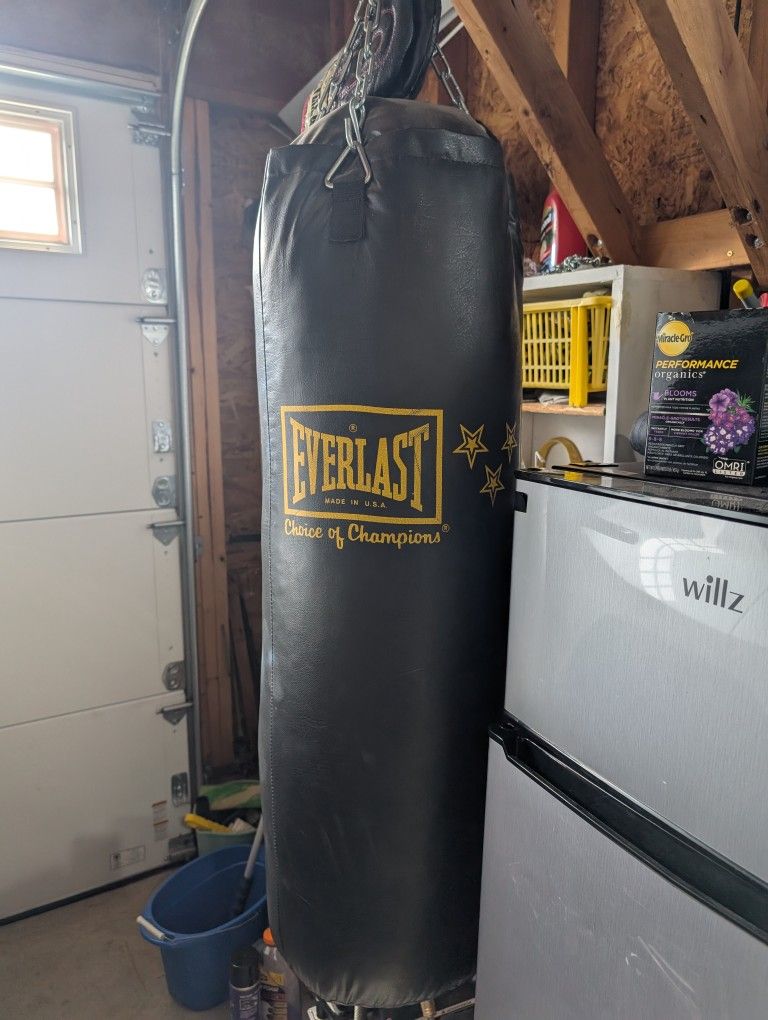 80 lb Punching Bag Everlast