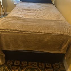 Twin Bed, Box And Mattress 